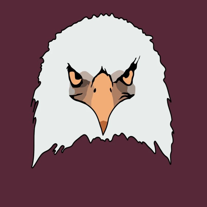 Eagle eagle motif eagle imprint bald eagle