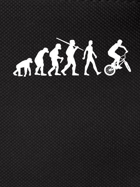 BMX Evolution BMX Bike