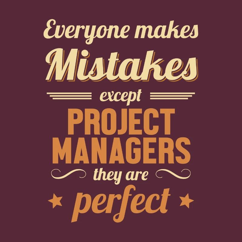 Project Manager are Perfect IT Project Manager