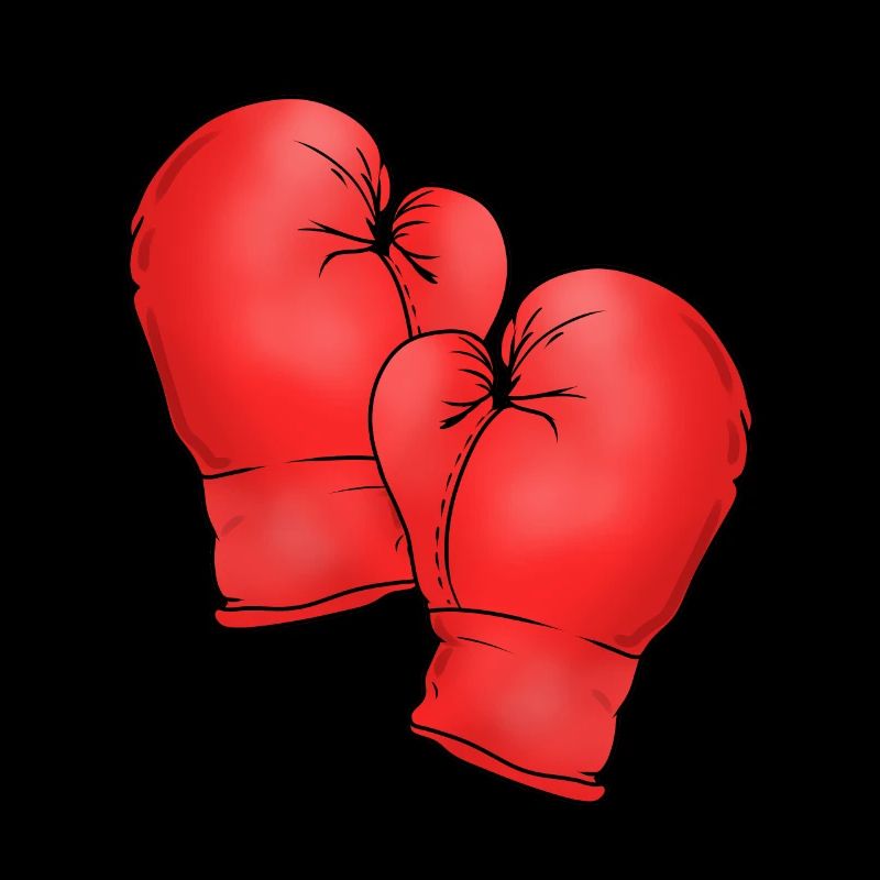 Boxhandschuhe
