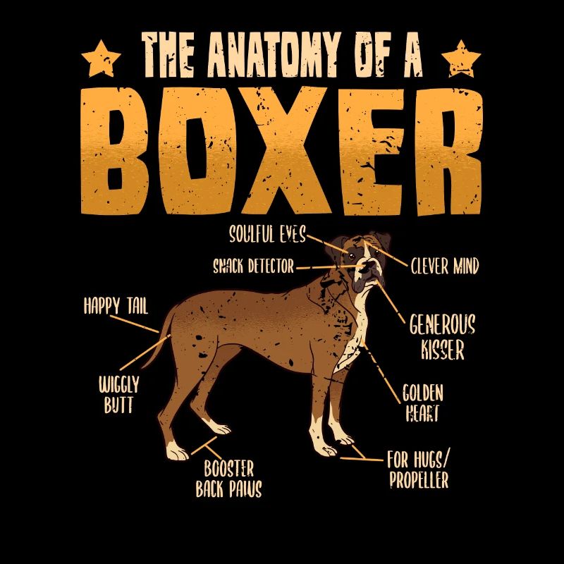 Hund Lustig Boxer Hundebesitzer Anatomie Geschenk