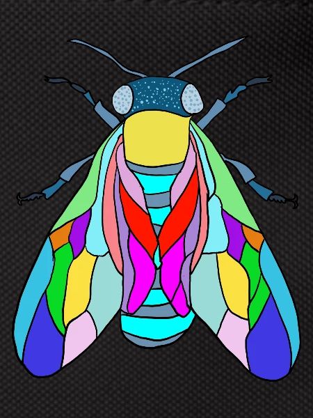 Fliege