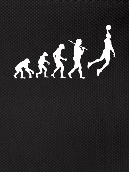 Evolution Basketball