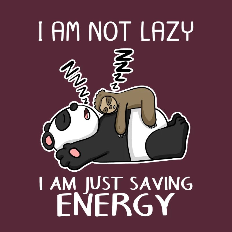 Funny sloth panda saying funny gift