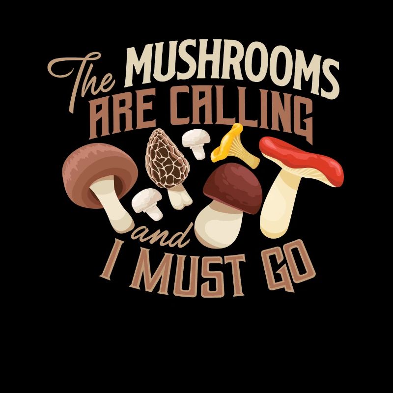 Champignons champignons champignons champignons panier champignon automne