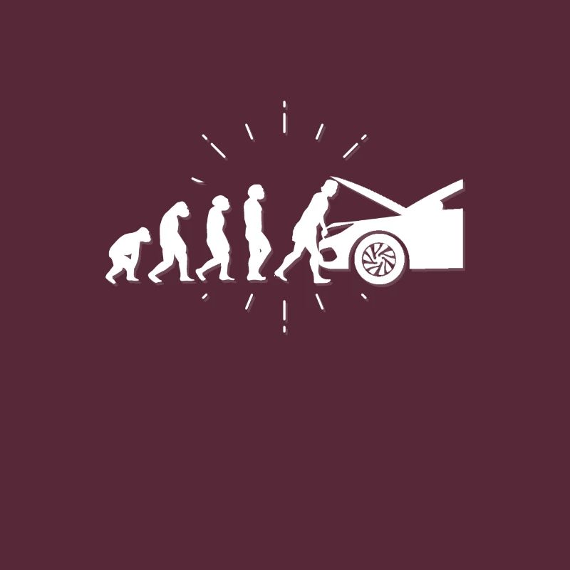 Automotive Mechatronics Engineer