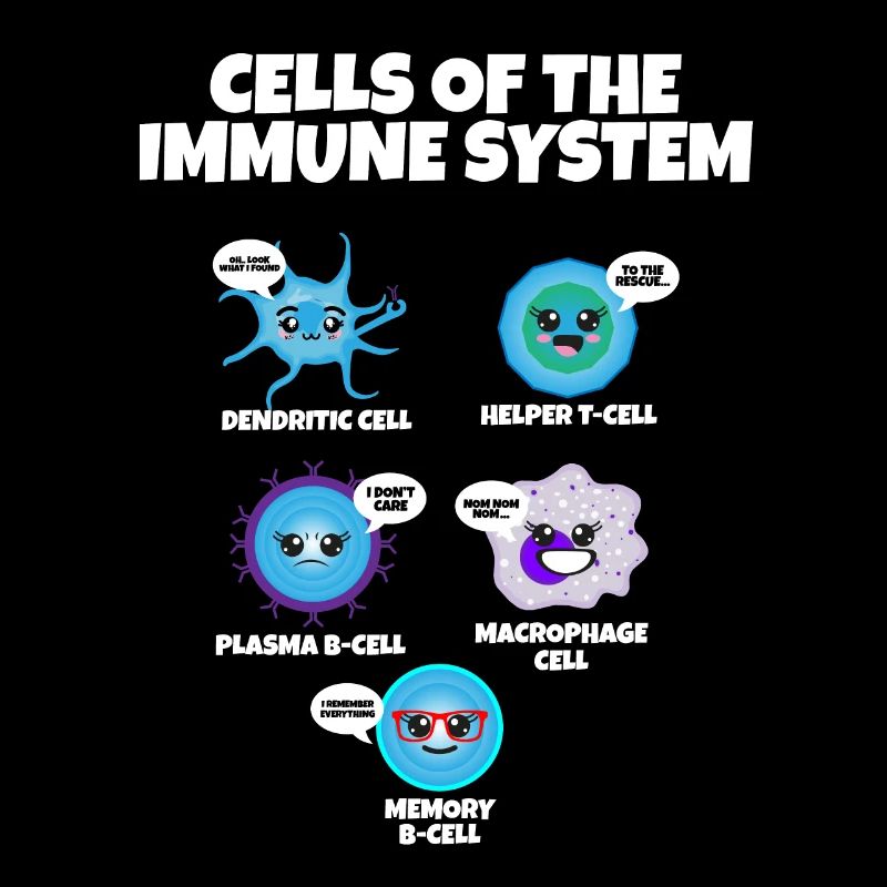 Immune System Cells Biology Cell Science