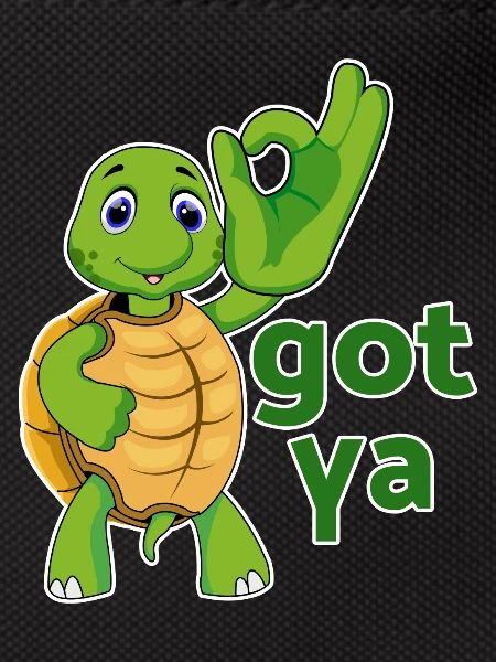 turtle turtle testudines toad