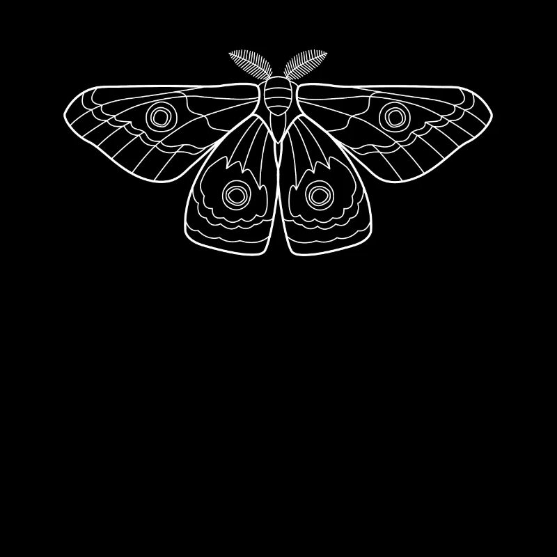 Moth Moth Butterfly Insects Gift