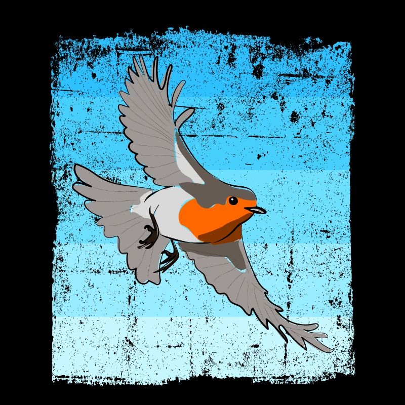Observation des oiseaux Oiseaux Observation des oiseaux Oiseaux