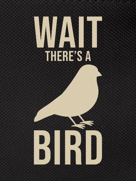 Ornithologist saying