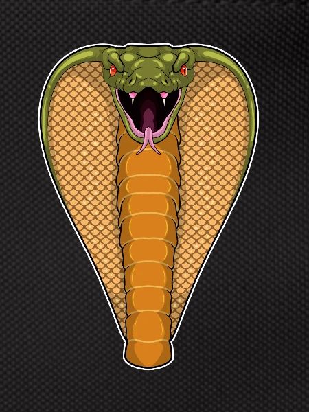 Cobra Snake