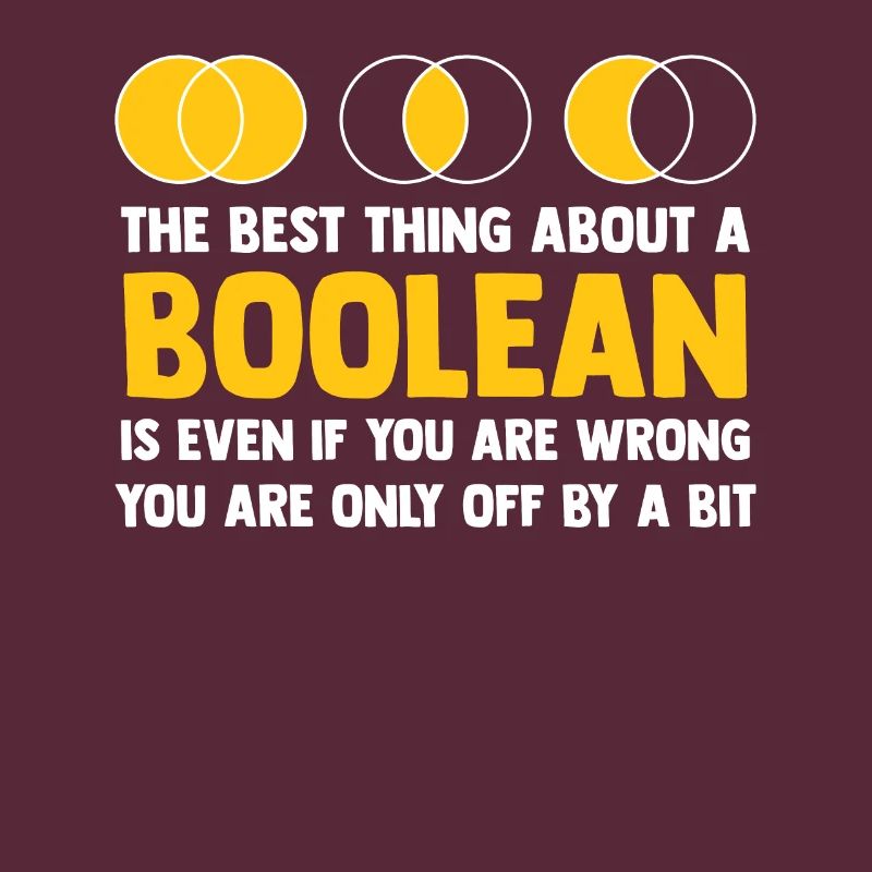 Programmer Coder Software Developer