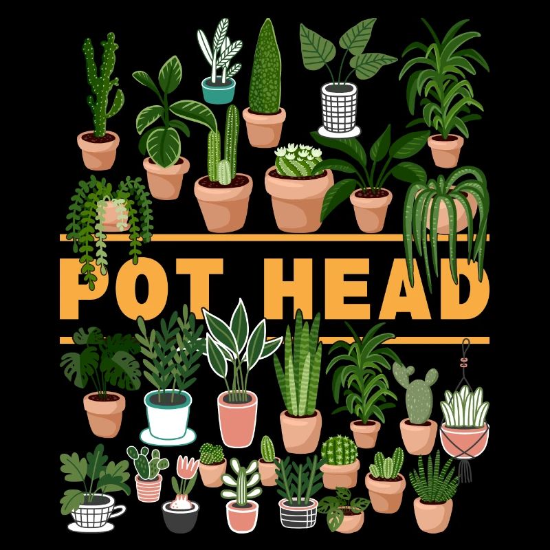 Pot head plants olive garden cactus lovers
