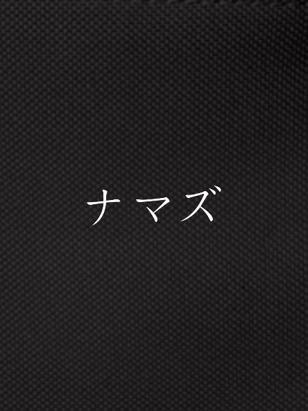 Wels Japanese