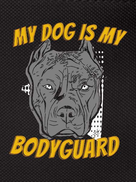American Bully Pitbull