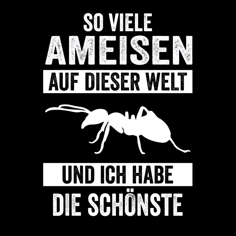 Ameisen Ameise