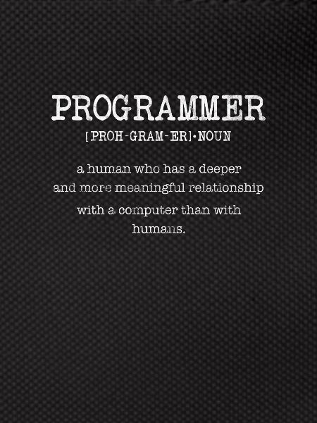 Programmer