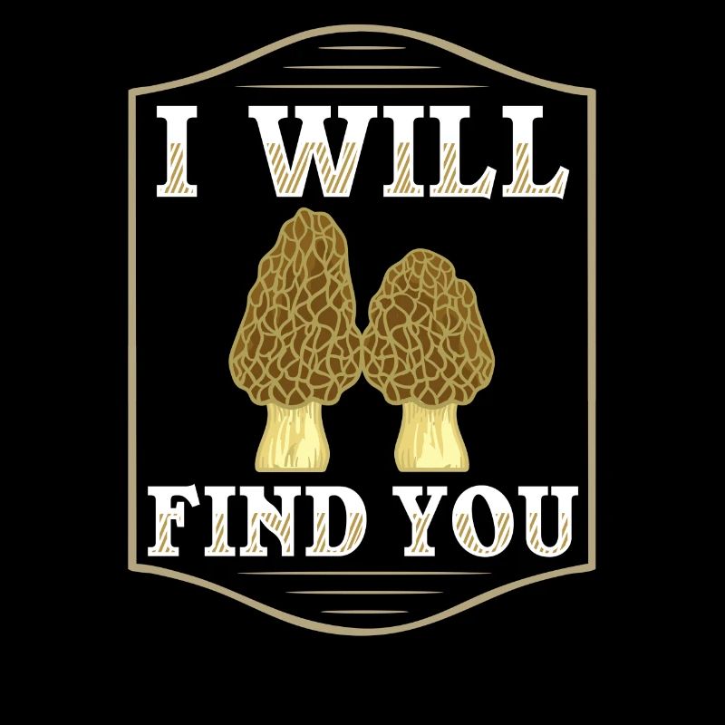 Champignon Morel Champignon comestible Cueillette champignon Cueillette Champignon