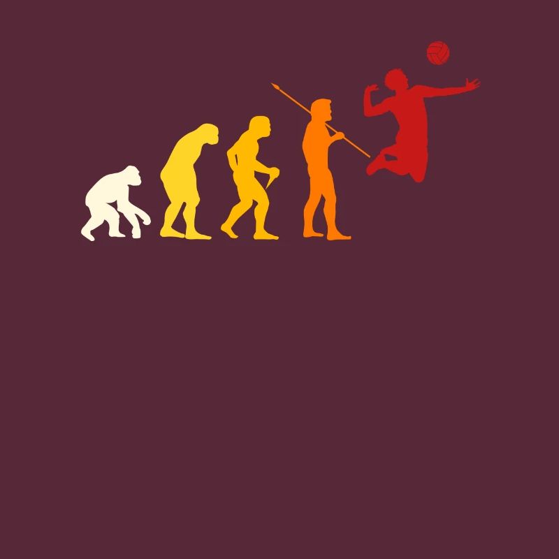 Conception de Volleyball Evolution