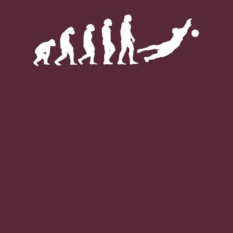 Torhüter Evolution