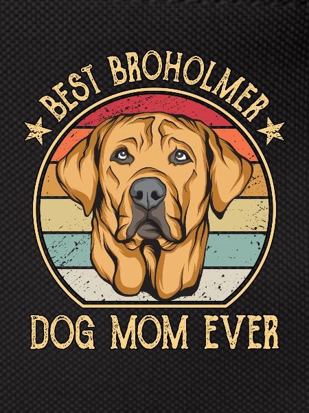 Broholmer