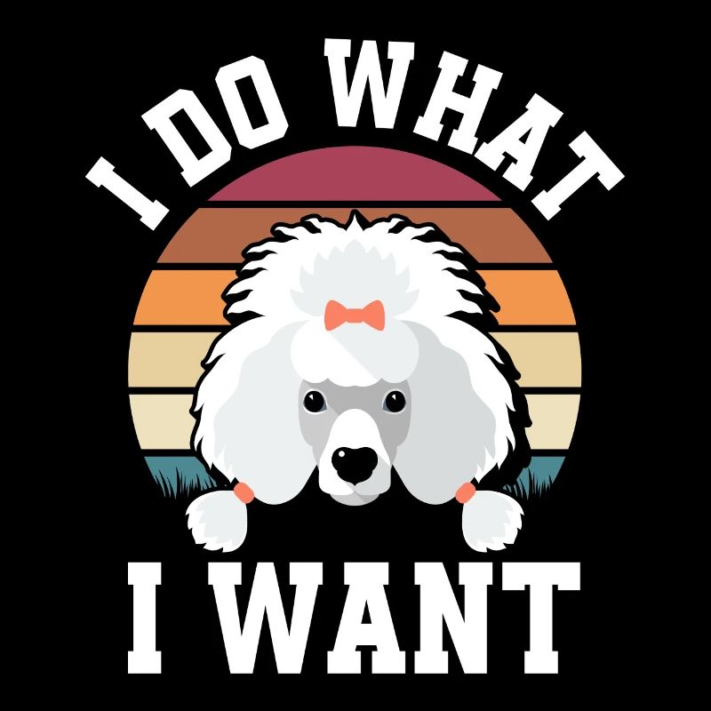 Caniche