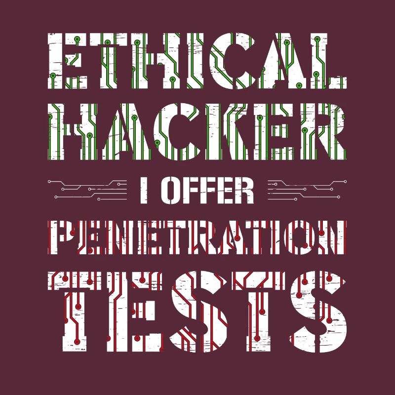 Computer Security Hacker Web developer