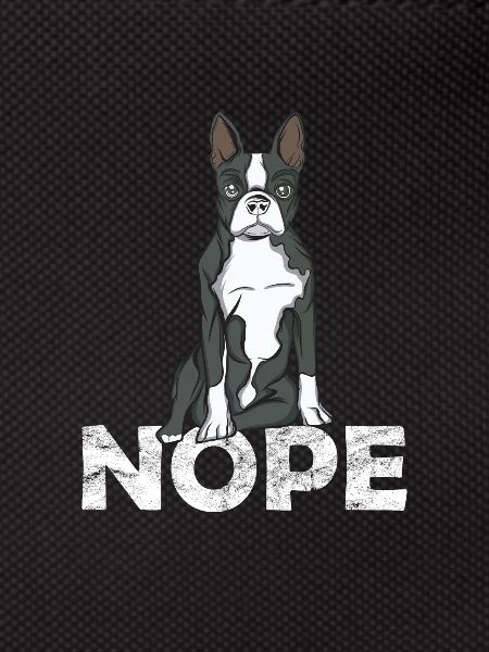 Boston Terrier