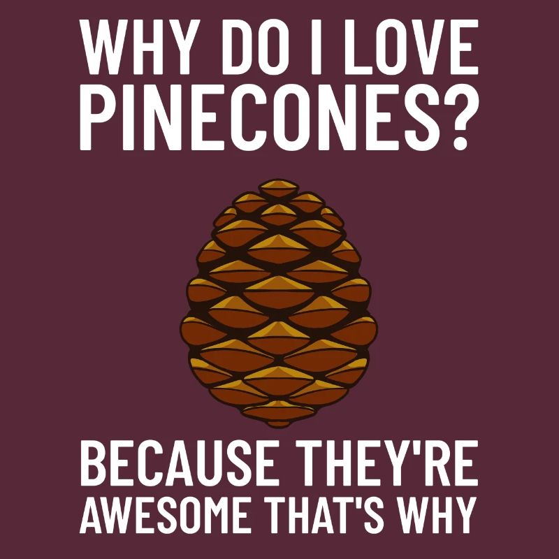 Pine cones Pine cones Pine cones Cones