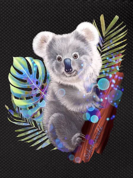 Koala