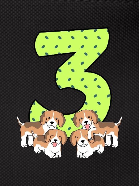 3rd birthday
