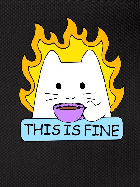 This Is Fine Cat