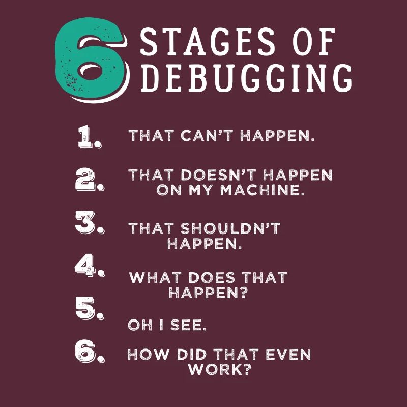 6 Stages of Debugging T-Shirt Bug Coding Computer