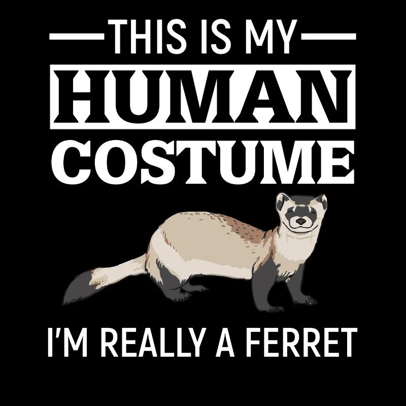 Furet