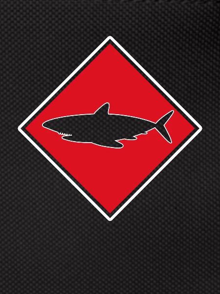 Requin Requin