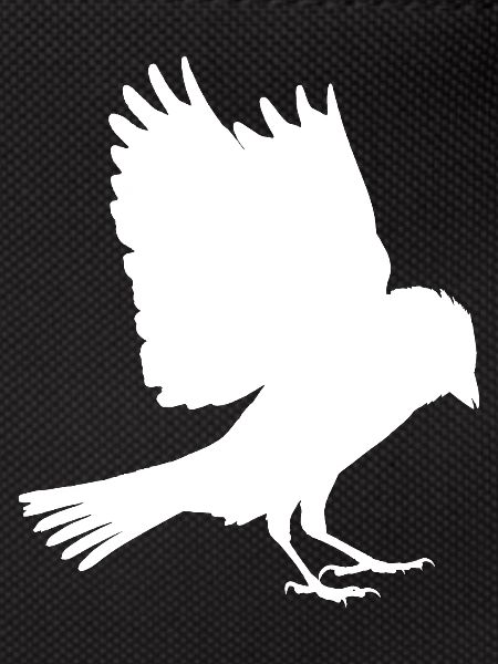 white sparrow