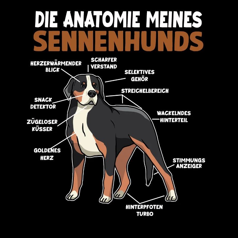 Sennenhund Anatomie Witziges Hundehalter Gassi