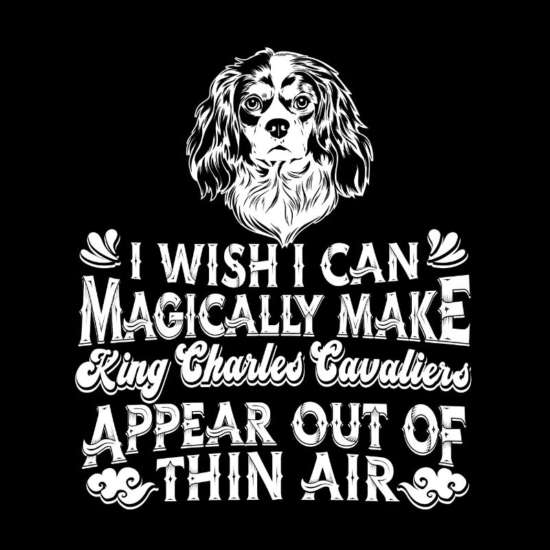 King Charles Cavalier Hund