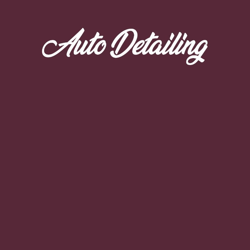 AUTO DETAILING CURSIVE TEXT NOVELTY HOBBY