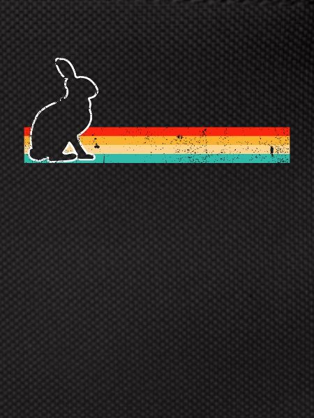 Lapin Rétro