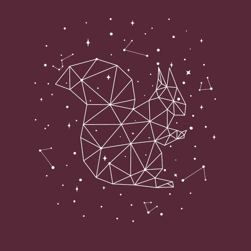 Constellation Squirrel Constellation Squirrel