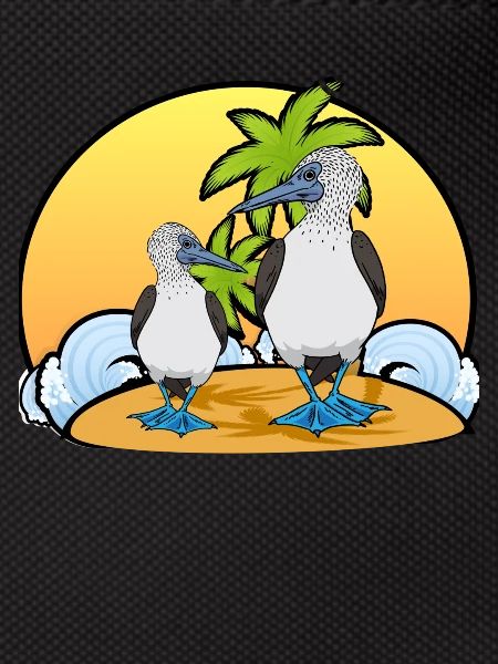 Seabirds Boobies