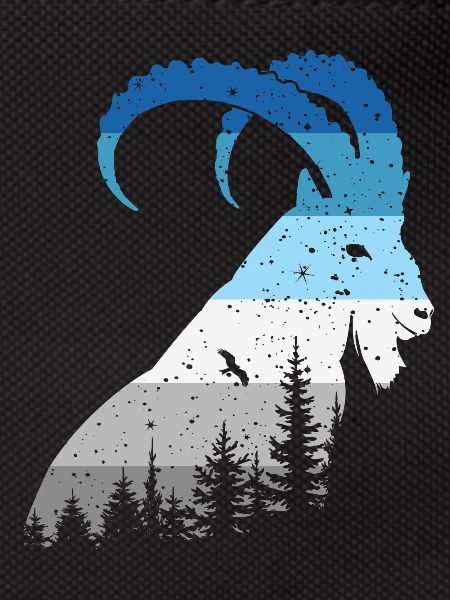 Steinbock