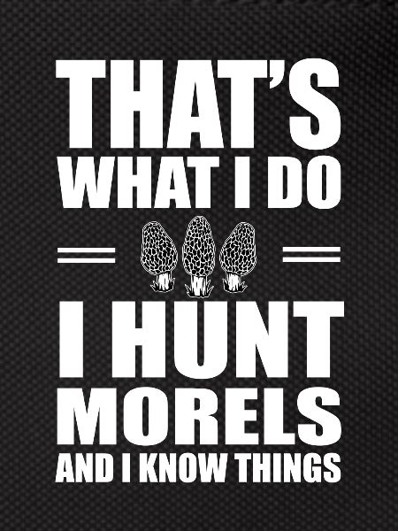 Collecting morels
