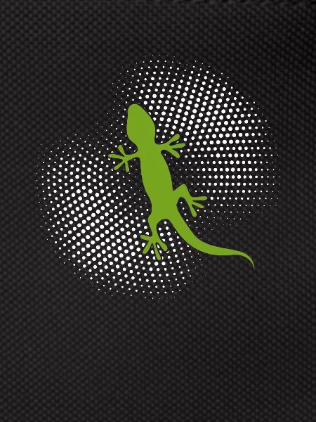 Lézard