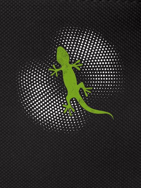 Lézard