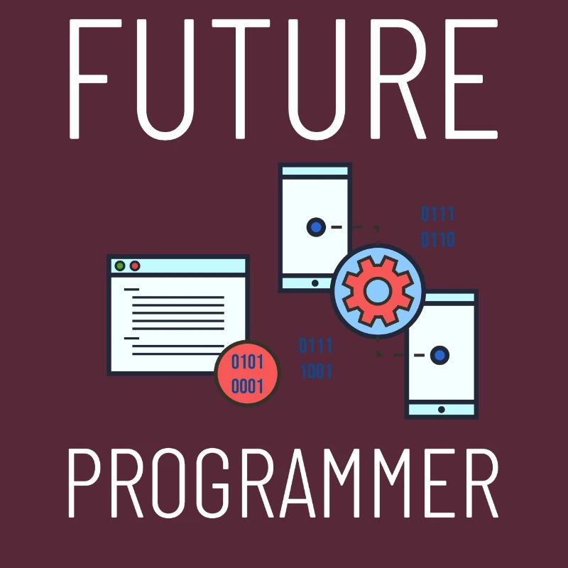 Programmeur Programmation Ordinateur Développeur Pc