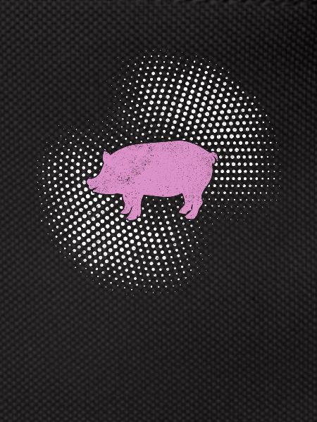 Pig