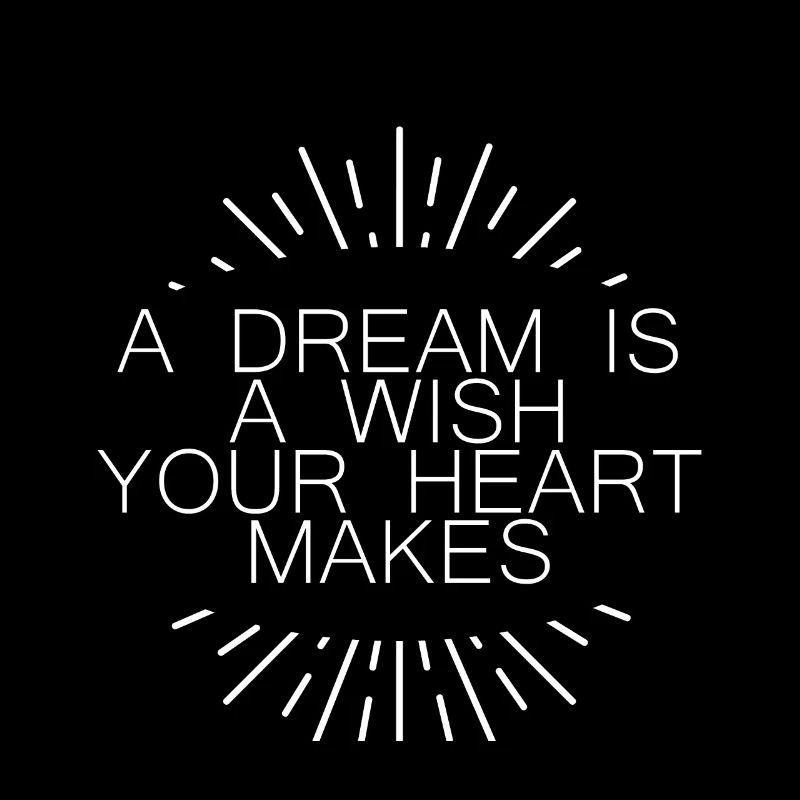 A Dream Is A Wish Your Heart Makes 5